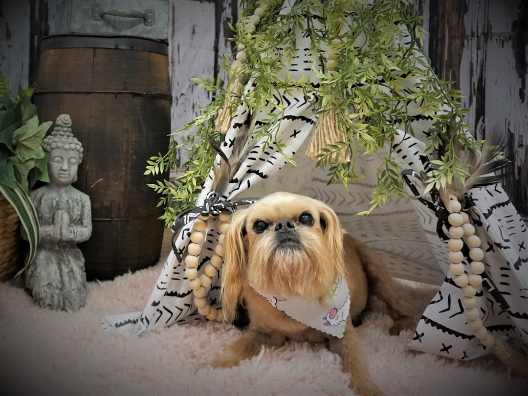 blog_5